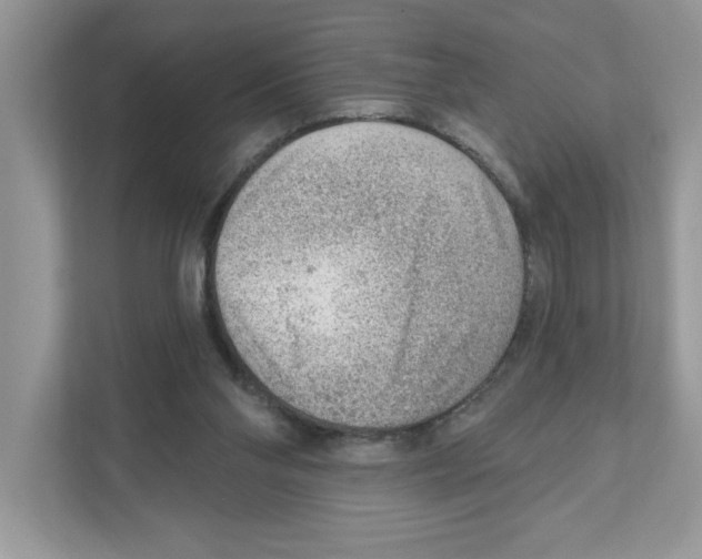 X0000111040110200907231543