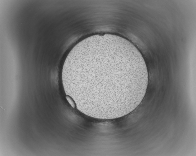 X0000111040112200907231543