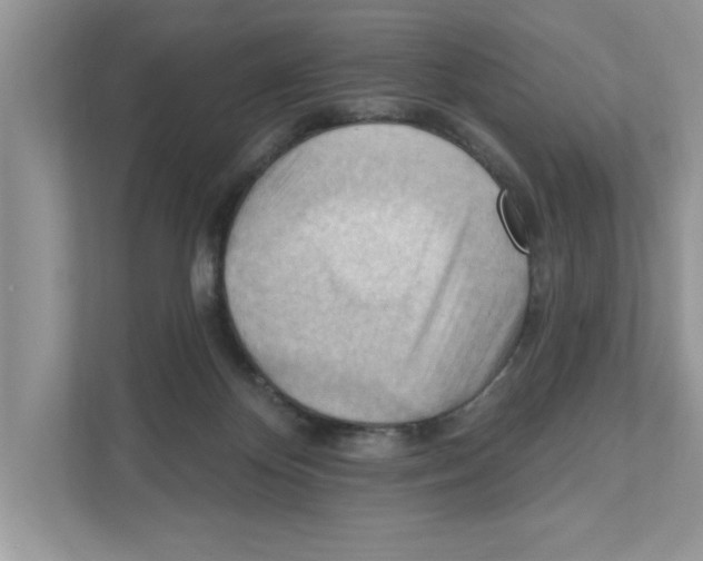 X0000111040124200907231543