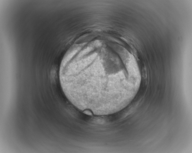 X0000111040127200907231543