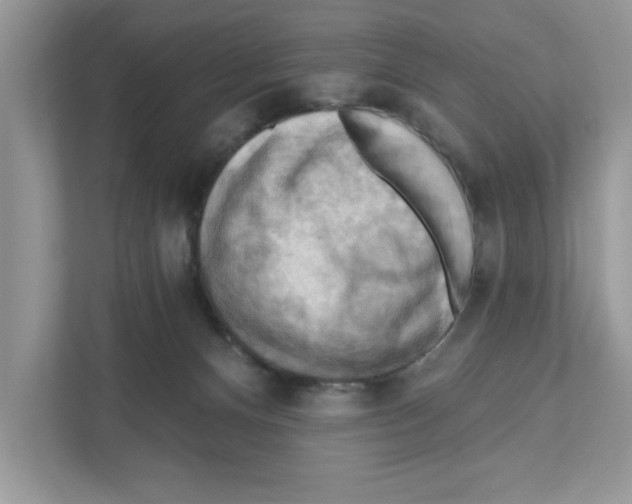 X0000111040128200907231543