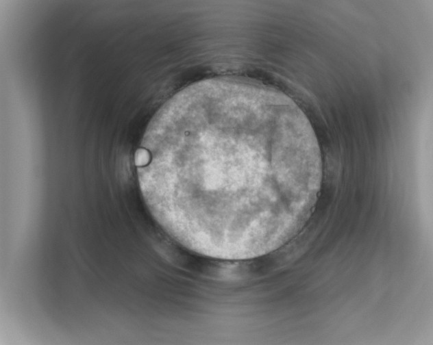 X0000111040130200907231543