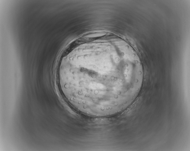 X0000111040145200907231542