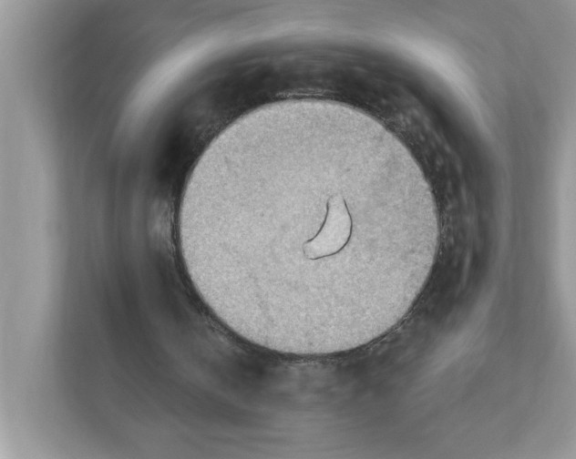 X0000111040146200907231542