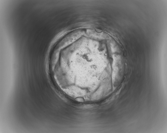 X0000111040149200907231542