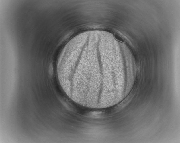 X0000111040158200907231542