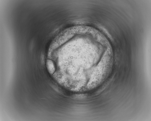 X0000111040161200907231543