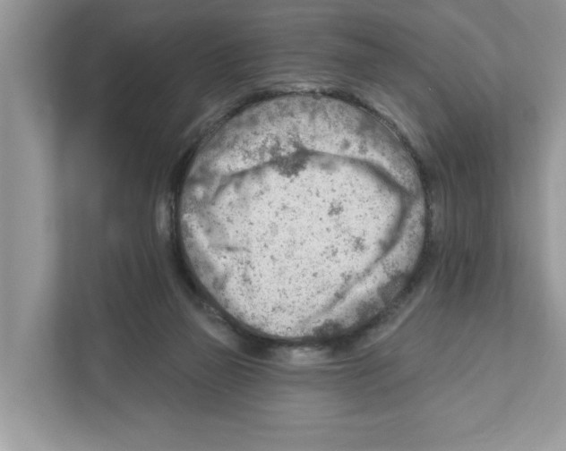 X0000111040165200907231543