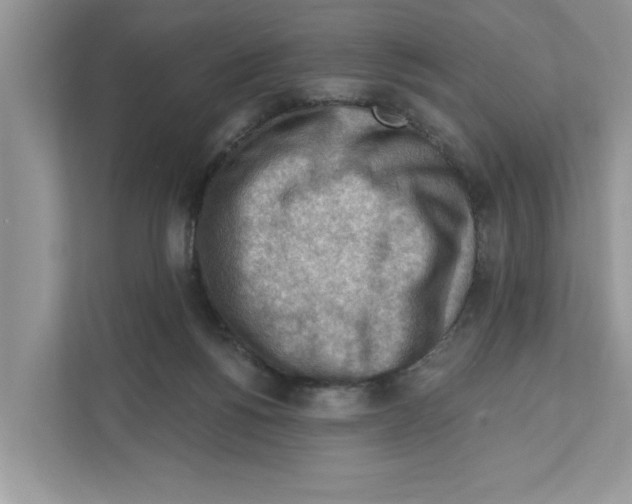 X0000111040168200907231543