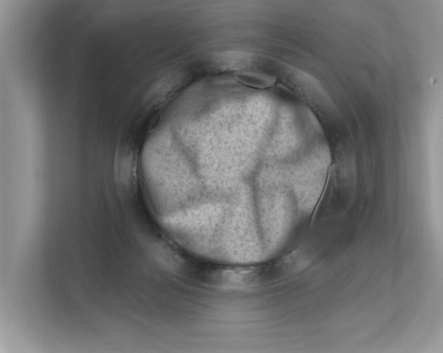 X0000111040172200907231543