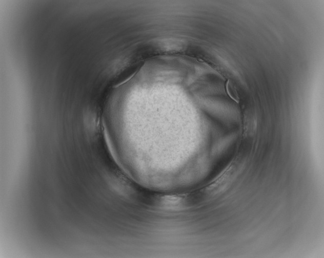 X0000111040176200907231543