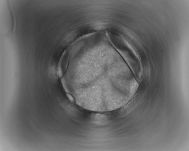 X0000111040180200907231543