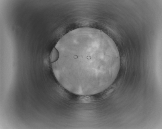 X0000111040181200907231543