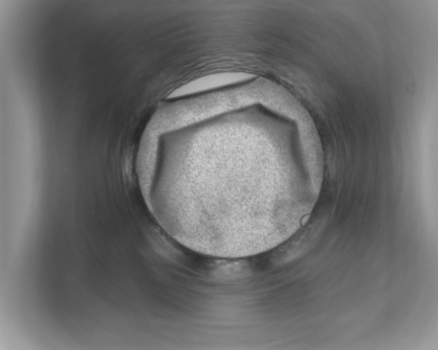 X0000111040185200907231543