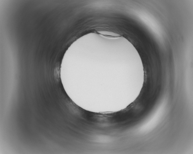 X0000111040190200907231543