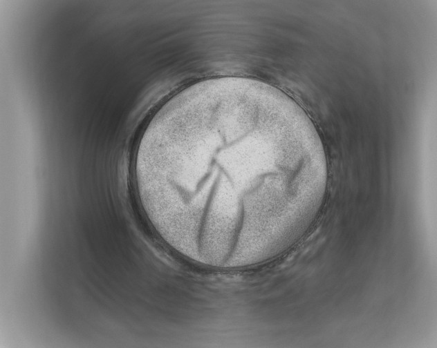 X0000111040194200907231542