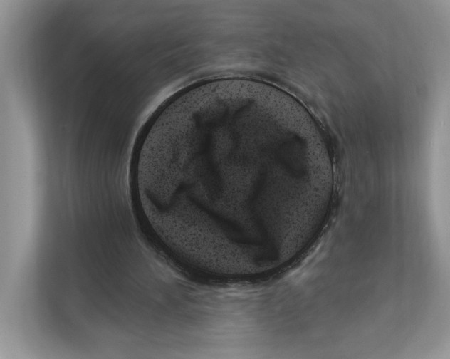 X0000111040196200907231542