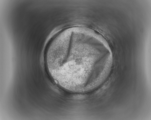 X0000111040198200907231542