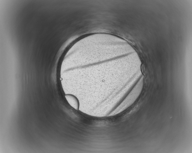 X0000111040200200907231542