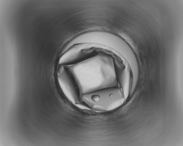 X0000111040201200907231542