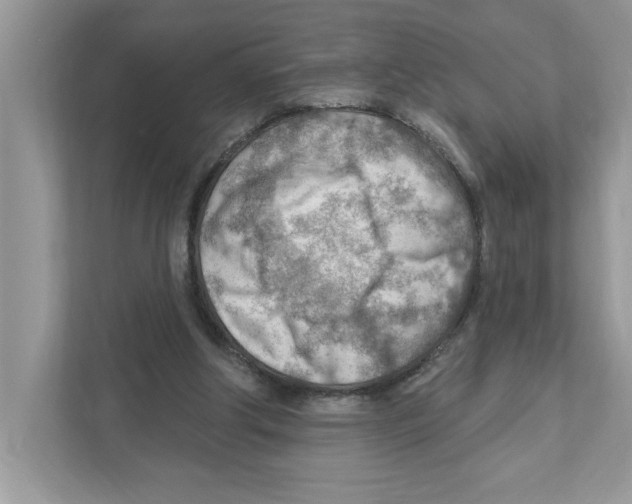 X0000111040202200907231542