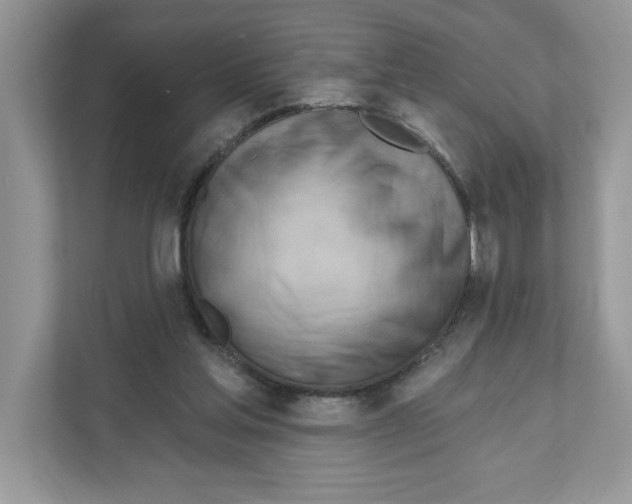 X0000111040205200907231542