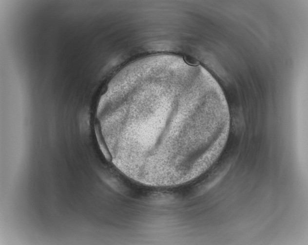 X0000111040207200907231542