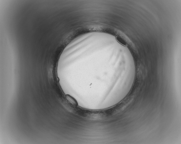 X0000111040209200907231542