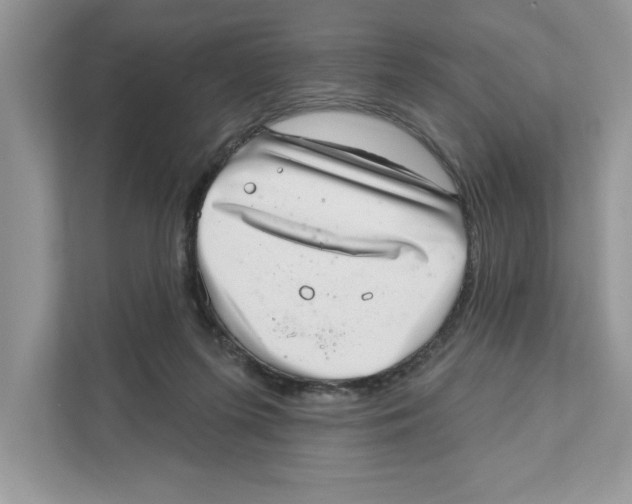 X0000111040215200907231542