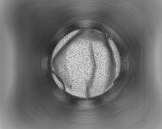 X0000111040217200907231542