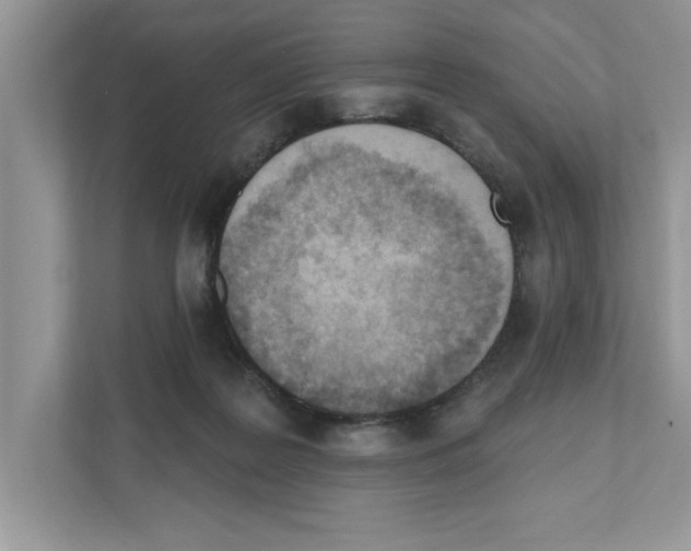 X0000111040219200907231542