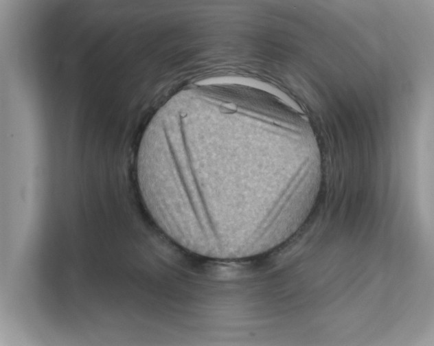 X0000111040229200907231542