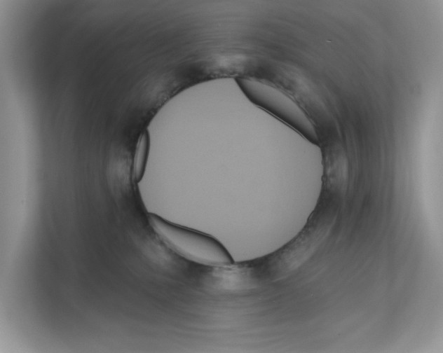 X0000111040231200907231542