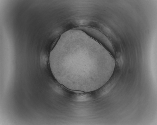 X0000111040235200907231542