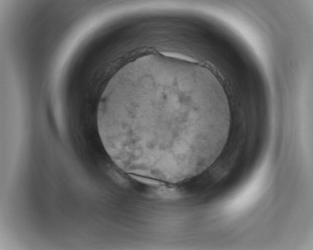 X0000111040239200907231542