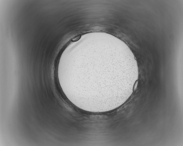 X0000111040242200907231541