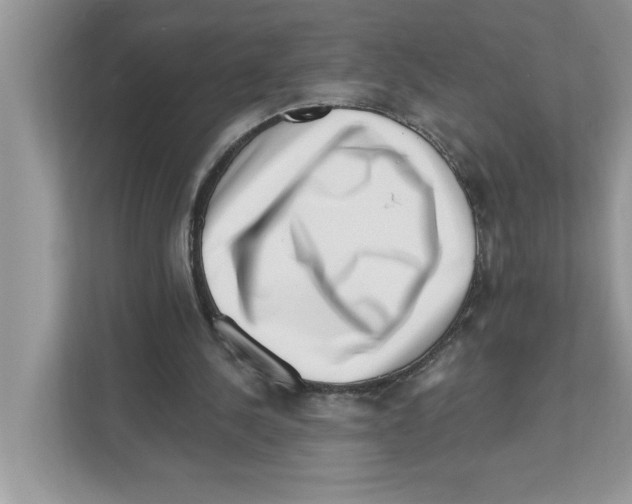 X0000111040244200907231541