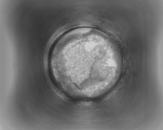 X0000111040247200907231541