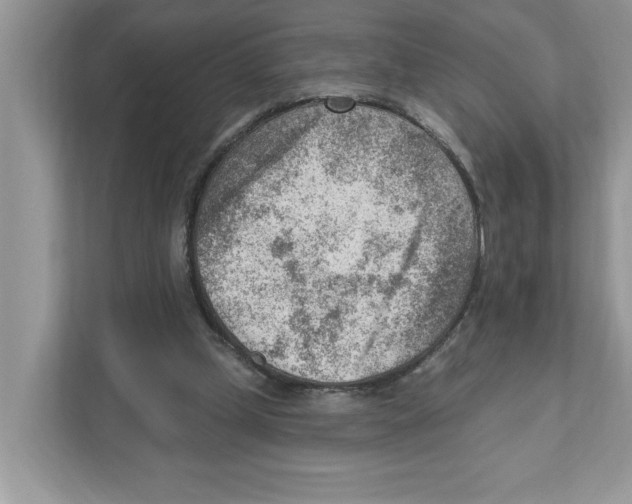 X0000111040249200907231541