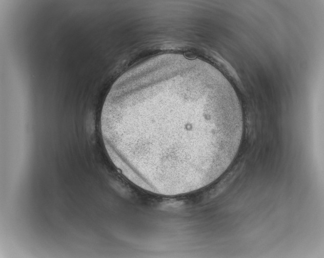 X0000111040257200907231541