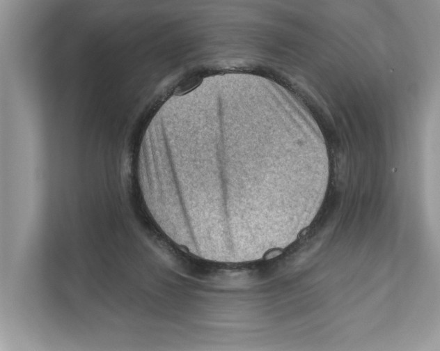 X0000111040260200907231541