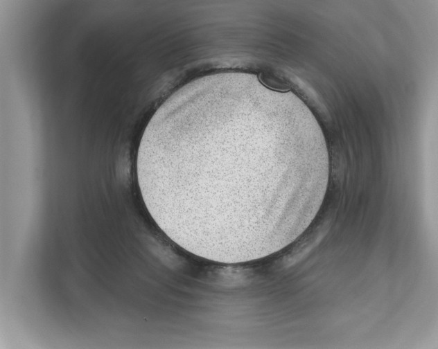 X0000111040261200907231541