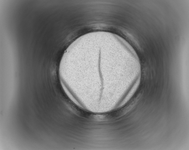 X0000111040265200907231541