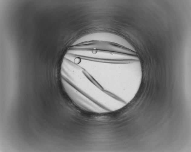 X0000111040268200907231541