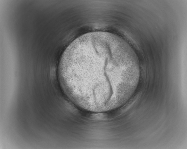 X0000111040269200907231541