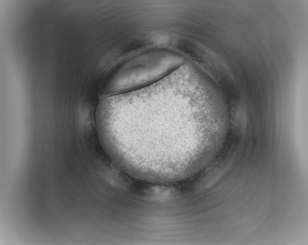 X0000111040272200907231541