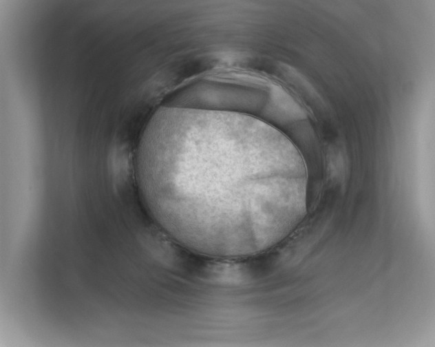 X0000111040276200907231542