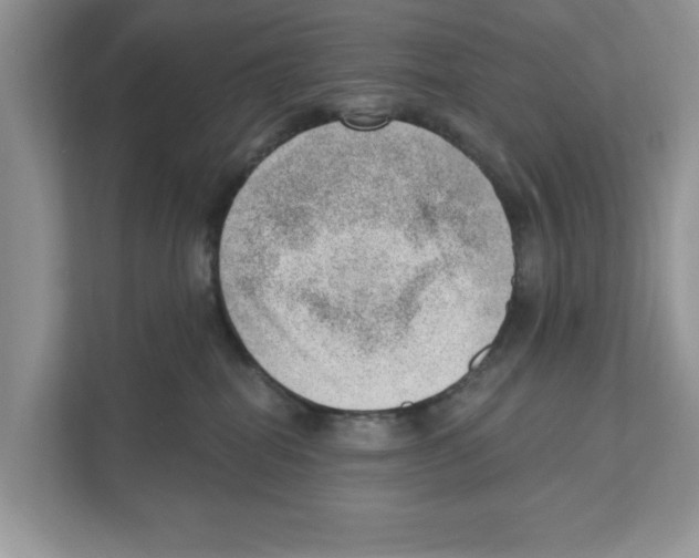 X0000111040282200907231542