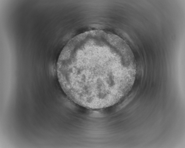 X0000111040285200907231542