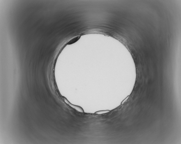 X0000111040289200907231541